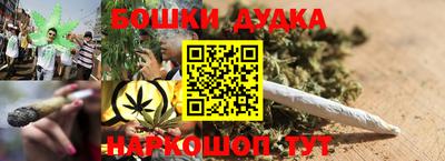 гидра Новозыбков