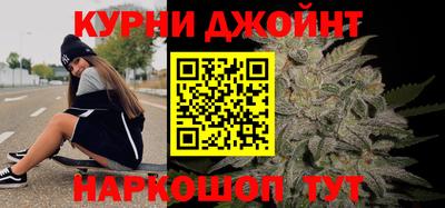 гидра Новозыбков