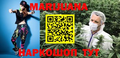 гидра Новозыбков