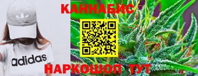 гидра Новозыбков