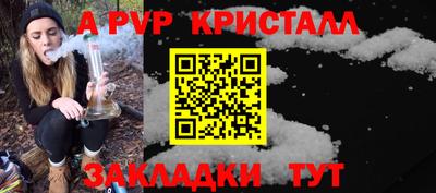 гидра Новозыбков