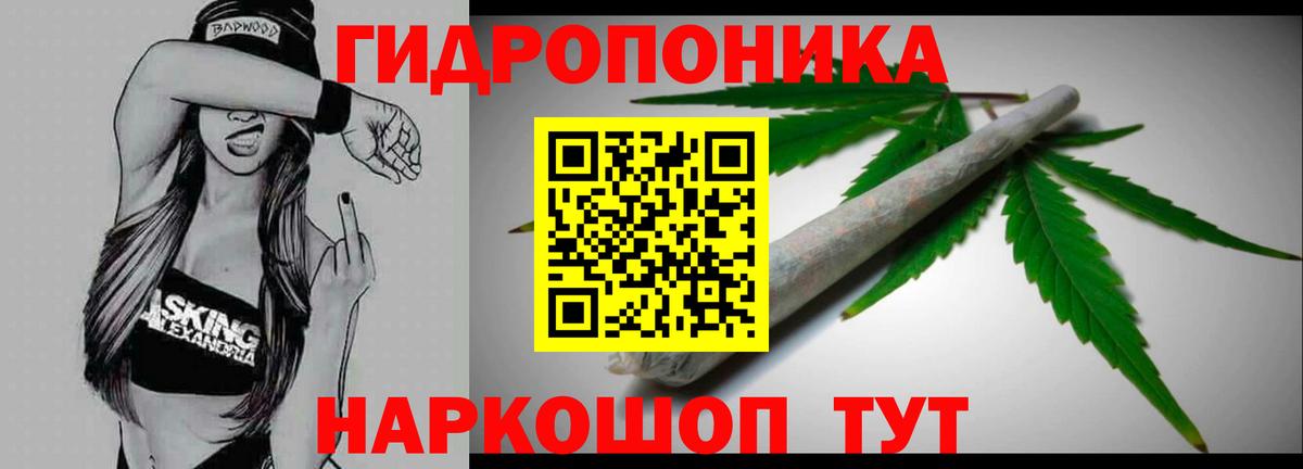 Конопля конопля Октябрьский